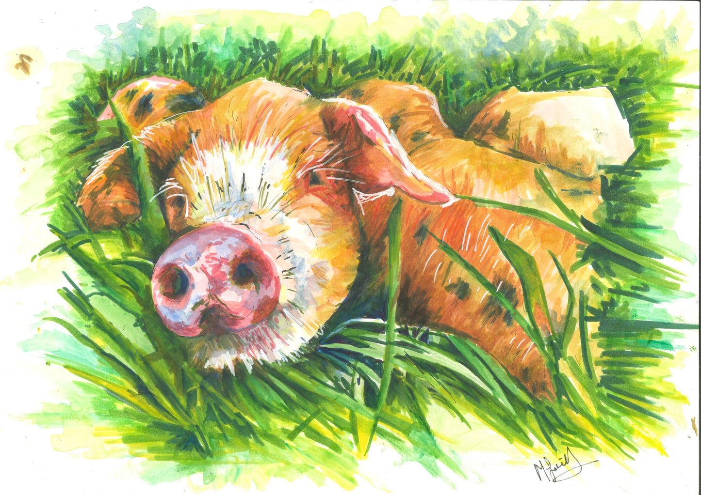 Alderney Pig Snuffles - Original
