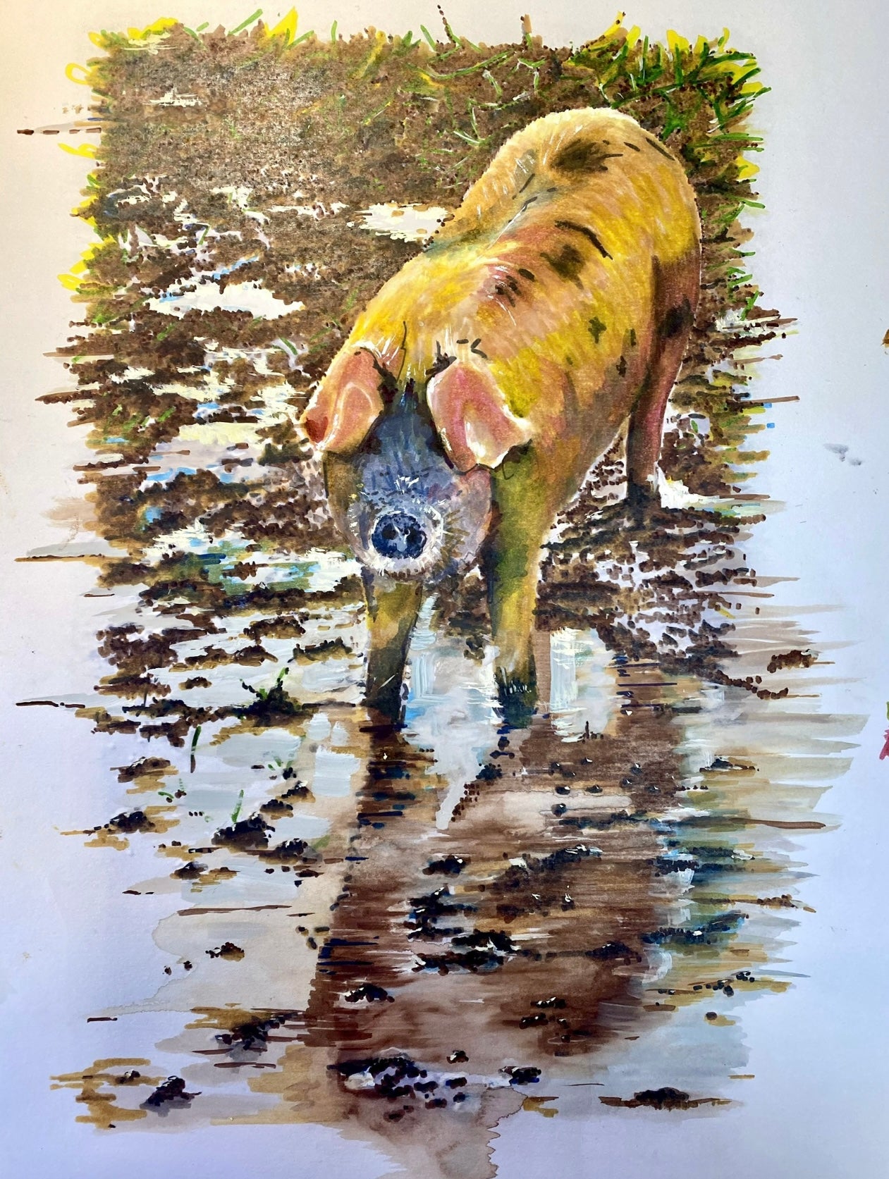 Alderney Pig Mudbath - Prints