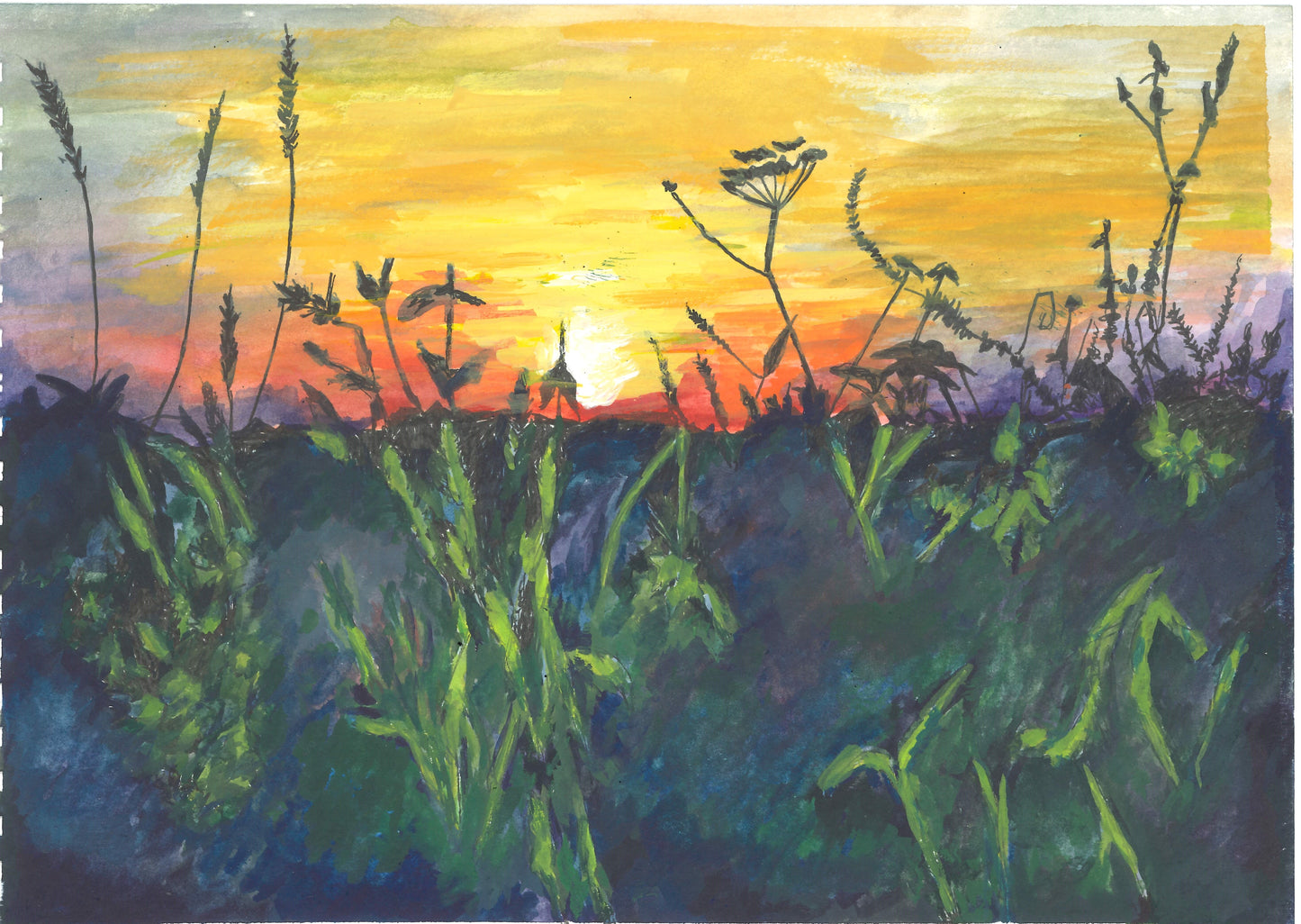 Guernsey Cliff Walk Sunset - Prints