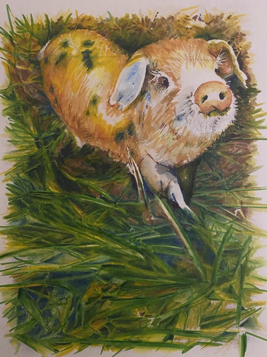Alderney Pig Babe Prints