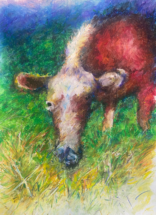 Guernsey Cow - Prints