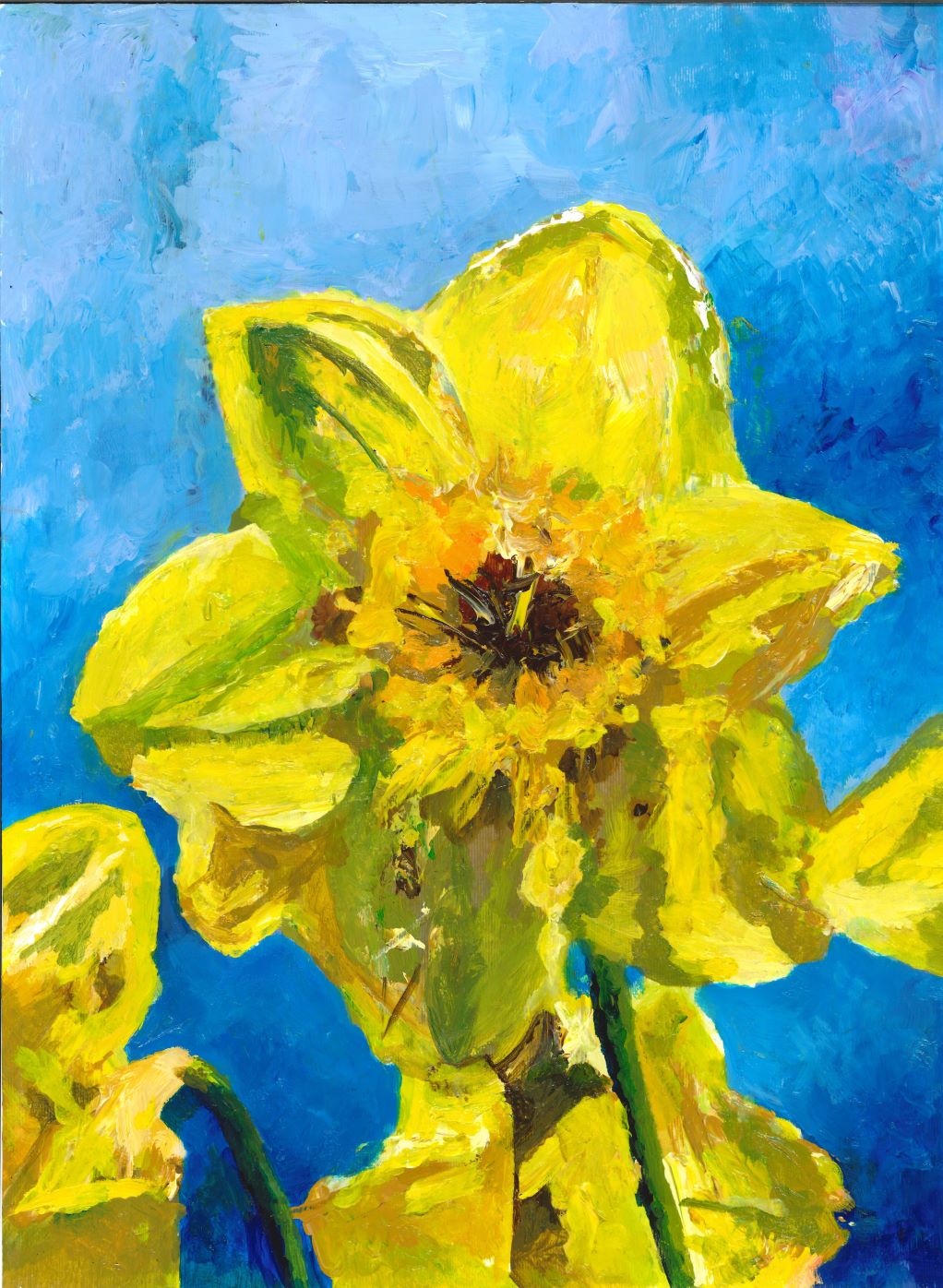 Daffodils - Spring - Prints